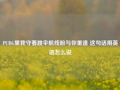 PUBG里我守着跳伞航线盼与你重逢 这句话用英语怎么说