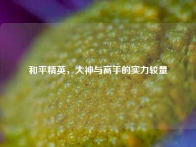 和平精英，大神与高手的实力较量