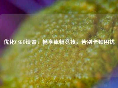 优化CSGO设置，畅享流畅竞技，告别卡顿困扰