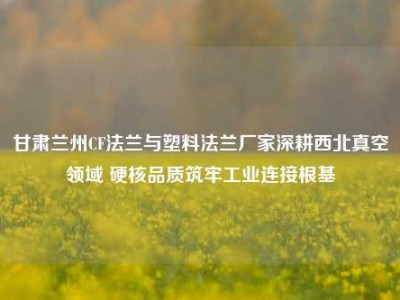 甘肃兰州CF法兰与塑料法兰厂家深耕西北真空领域 硬核品质筑牢工业连接根基