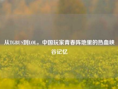从TGBUS到LOL，中国玩家青春阵地里的热血峡谷记忆