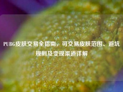 PUBG皮肤交易全指南，可交易皮肤范围、避坑规则及变现渠道详解