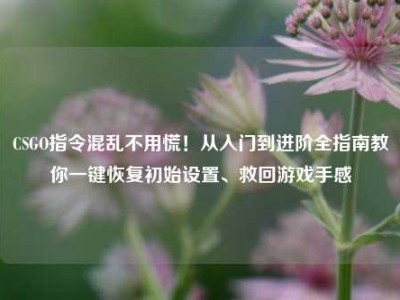 CSGO指令混乱不用慌！从入门到进阶全指南教你一键恢复初始设置、救回游戏手感
