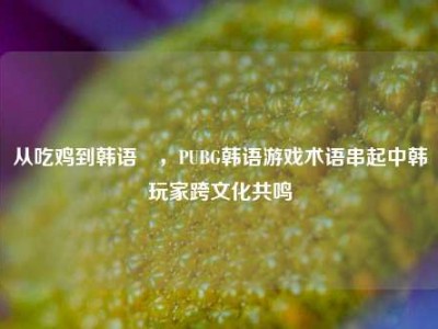 从吃鸡到韩语치，PUBG韩语游戏术语串起中韩玩家跨文化共鸣