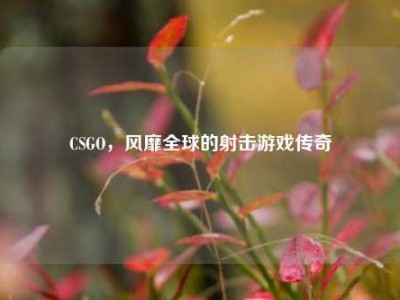CSGO，风靡全球的射击游戏传奇