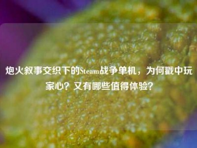 炮火叙事交织下的Steam战争单机，为何戳中玩家心？又有哪些值得体验？