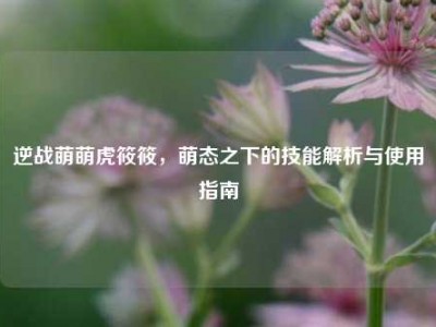 逆战萌萌虎筱筱，萌态之下的技能解析与使用指南