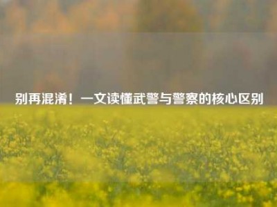 别再混淆！一文读懂武警与警察的核心区别