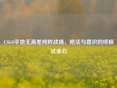 CSGO平地无高差纯粹战场，枪法与意识的终极试金石