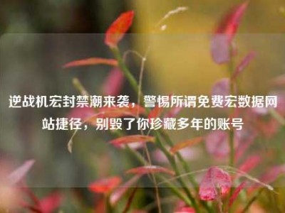 逆战机宏封禁潮来袭，警惕所谓免费宏数据网站捷径，别毁了你珍藏多年的账号
