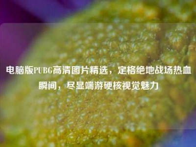 电脑版PUBG高清图片精选，定格绝地战场热血瞬间，尽显端游硬核视觉魅力