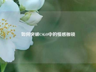 如何突破CSGO中的慢感枷锁