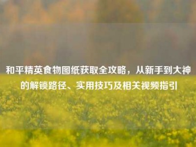 和平精英食物图纸获取全攻略，从新手到大神的解锁路径、实用技巧及相关视频指引