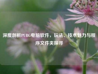深度剖析PUBG电脑软件，玩法、技术魅力与程序文件夹探寻