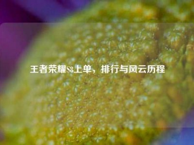 王者荣耀S8上单，排行与风云历程