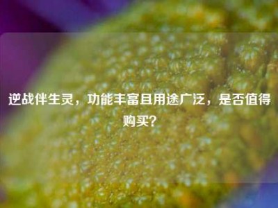 逆战伴生灵，功能丰富且用途广泛，是否值得购买？
