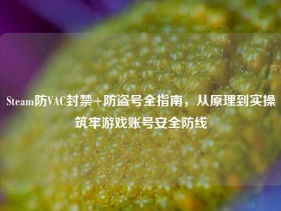 Steam防VAC封禁+防盗号全指南，从原理到实操筑牢游戏账号安全防线