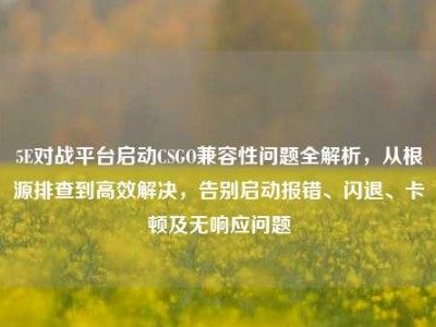 5E对战平台启动CSGO兼容性问题全解析，从根源排查到高效解决，告别启动报错、闪退、卡顿及无响应问题