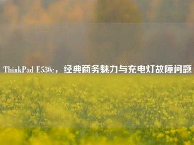 ThinkPad E530c，经典商务魅力与充电灯故障问题