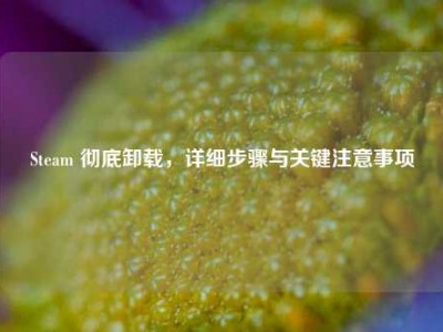 Steam 彻底卸载，详细步骤与关键注意事项