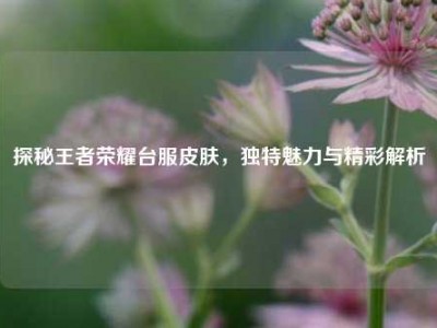 探秘王者荣耀台服皮肤，独特魅力与精彩解析