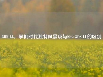 3DS LL，掌机时代独特风景及与New 3DS LL的区别