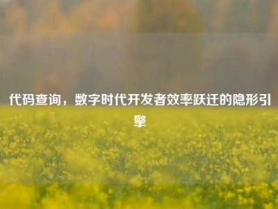 代码查询，数字时代开发者效率跃迁的隐形引擎