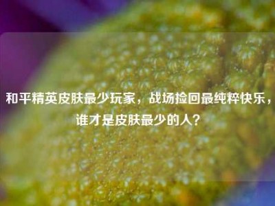 和平精英皮肤最少玩家，战场捡回最纯粹快乐，谁才是皮肤最少的人？