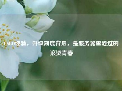CSGO经验，升级刻度背后，是服务器里泡过的滚烫青春