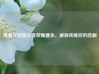 青春女孩因王者荣耀遭杀，被游戏操控的悲剧