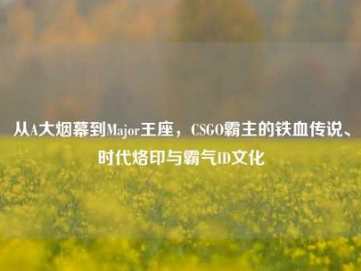 从A大烟幕到Major王座，CSGO霸主的铁血传说、时代烙印与霸气ID文化