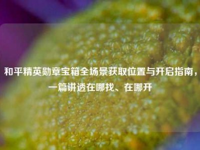 和平精英勋章宝箱全场景获取位置与开启指南，一篇讲透在哪找、在哪开