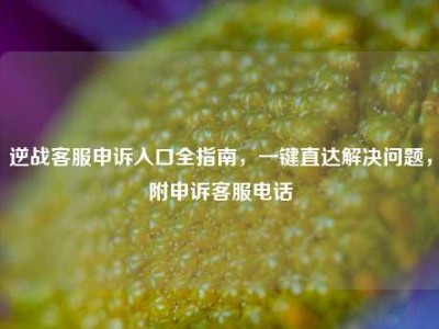 逆战客服申诉入口全指南，一键直达解决问题，附申诉客服电话