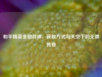 和平精英金翅战神，获取方式与天空下的无畏传奇
