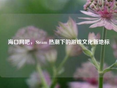 海口网吧，Steam 热潮下的游戏文化新地标