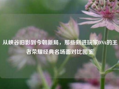 从峡谷旧影到今朝新局，那些刻进玩家DNA的王者荣耀经典名场面对比图鉴