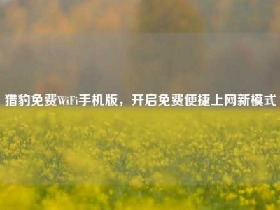 猎豹免费WiFi手机版，开启免费便捷上网新模式
