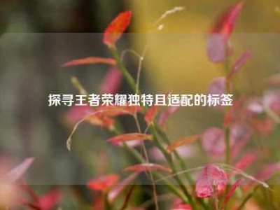 探寻王者荣耀独特且适配的标签