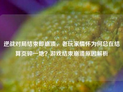 逆战对局结束即崩溃，老玩家情怀为何总在结算页碎一地？游戏结束崩溃原因解析