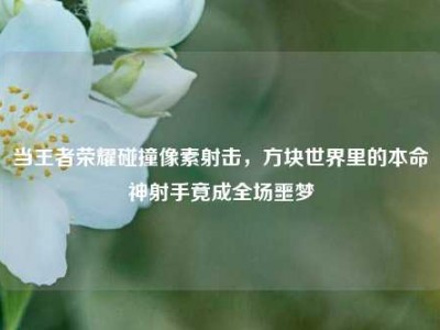 当王者荣耀碰撞像素射击，方块世界里的本命神射手竟成全场噩梦