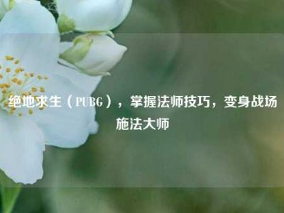 绝地求生（PUBG），掌握法师技巧，变身战场施法大师