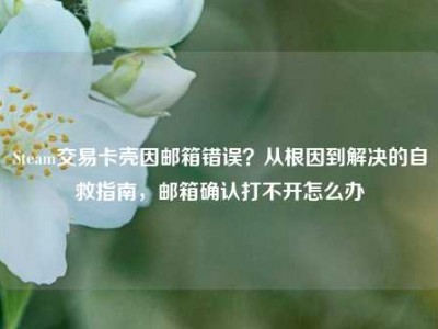 Steam交易卡壳因邮箱错误？从根因到解决的自救指南，邮箱确认打不开怎么办