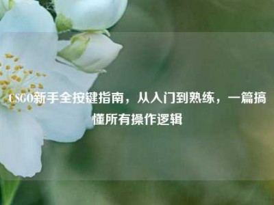 CSGO新手全按键指南，从入门到熟练，一篇搞懂所有操作逻辑