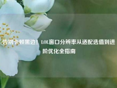 告别卡顿黑边！LOL窗口分辨率从适配选值到进阶优化全指南