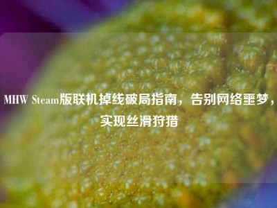 MHW Steam版联机掉线破局指南，告别网络噩梦，实现丝滑狩猎