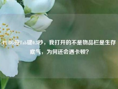 PUBG按Tab键0.3秒，我打开的不是物品栏是生存底气，为何还会遇卡顿？