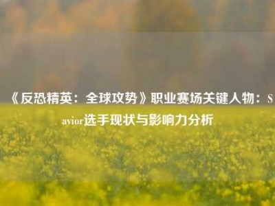 《反恐精英：全球攻势》职业赛场关键人物：Savior选手现状与影响力分析