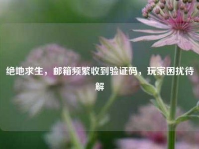 绝地求生，邮箱频繁收到验证码，玩家困扰待解