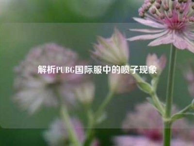 解析PUBG国际服中的喷子现象