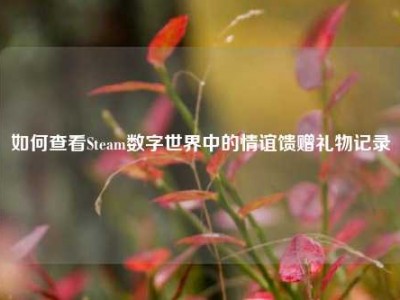 如何查看Steam数字世界中的情谊馈赠礼物记录